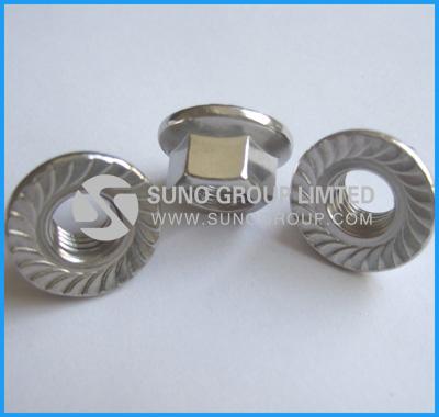 DIN6923 Hex Flange Nut - 副本