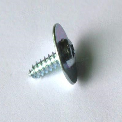 Modify Truss Head Self Tapping Screw Big